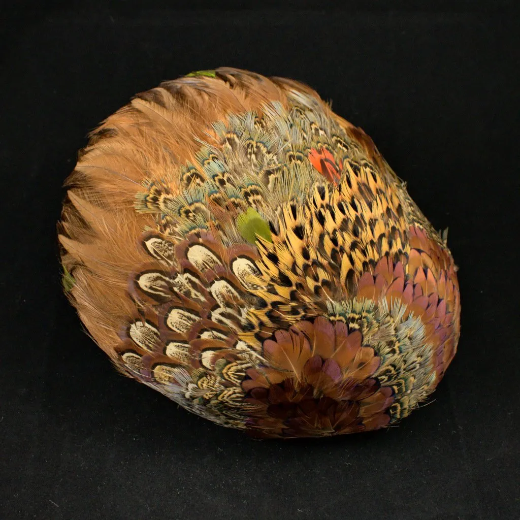 1950s Pheasant Feather Cap Hat